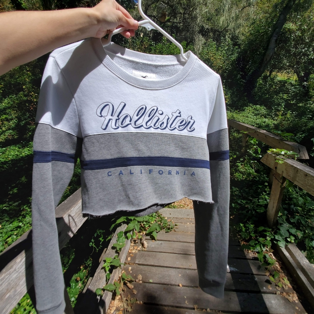 Cropped Hollister Hoodie